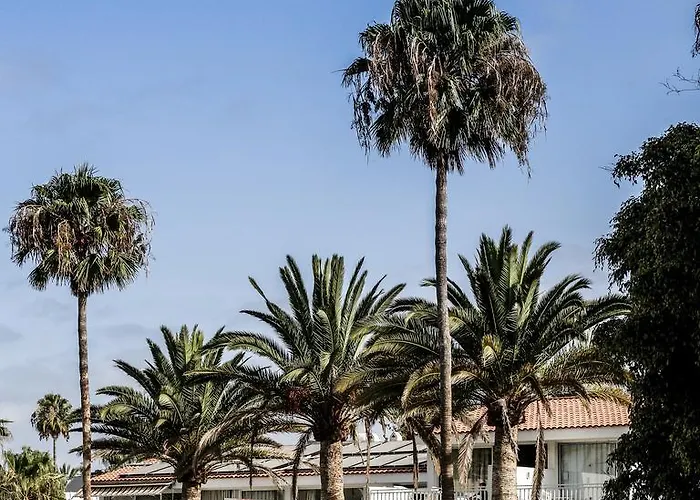 Paradero Hébergement de vacances Playa de las Américas